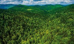 Antalya en büyük kaybı yaşadı, Antalya Barosu harekete geçti