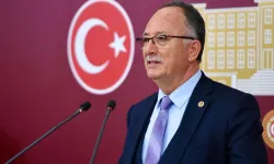 Milletvekili Kılıç, Milli Parklar Kanunu'nu topa tuttu: "Doğa yatırım başlığı değildir"