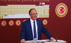 Milletvekili Kılıç, artan gıda fiyatlarını Meclis'e taşıdı: "Sofralardan eksilen gıdaların sebebi iktidardır"