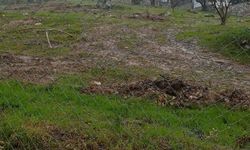 Soruşturma sonrası istifa eden eski CHP İl Başkanı Kılbey'e şok ceza