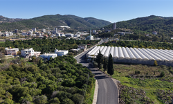 Alanya’da orman yangınları öncesi yol ihalesi