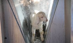 Antalya Büyükşehir Belediyesi’nin ücretsiz hizmeti hastalıkları azalttı