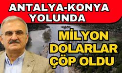 Antalya-Konya yolunda milyon dolar çöp oldu