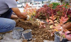 Antalya sokaklarındaki düzenleme tasarruf sağlayacak