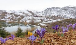 Antalya yaylalarında kartpostallık görüntü: çiçekler açtı