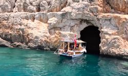 Antalya’da Akdeniz foku yuvalarına ‘Tur’ şikayeti