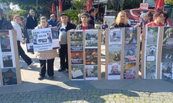 Antalya’da Hayvan Hakları Platformlarında ortak açıklama