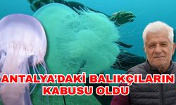 Antalya’daki balıkçıların kabusu oldu