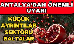 Antalya’dan önemli uyarı! Küçük ayrıntılar sektörü baltalar