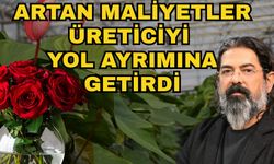 Artan maliyetler üreticiyi yol ayrımına getirdi! İthal etmek, artık üretmekten daha kazançlı