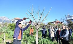 ATASEM’de uygulamalı ağaç budama eğitimi