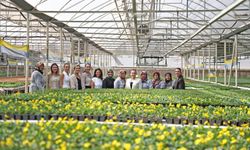 Başkan Vekili Özdemir’den kadınlara destek mesajı