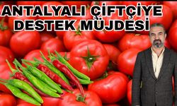 Antalyalı çiftçiye destek müjdesi… Zararlılarla biyoteknik mücadeleye devlet desteği geldi