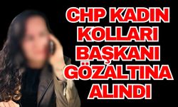 CHP Kadın Kolları Başkanı gözaltına alındı