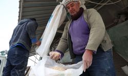 Korkuteli’nde çiftçilere Büyükşehir desteği: Yem maliyeti düşüyor