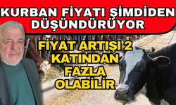 Kurban fiyatı şimdiden düşündürüyor! Fiyat artışı 2 katından fazla olabilir