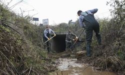 Mersin genelinde 115 bin noktada düzenli ilaçlama süreci başladı
