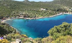 Şehir Plancıların Limanağzı uyarısı! Yargı süreci bitmeden fiili uygulamaya geçilemez