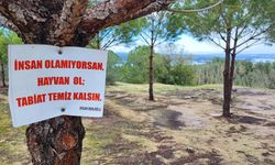 Vatandaşın ağaca astığı "Tabiat temiz kalsın" uyarısı yetmedi