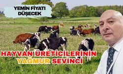 Antalyalı hayvan yetiştiricilerinin imdadına yağmur yetişti