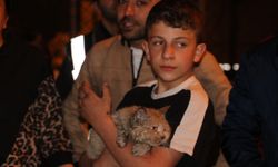 Yangınların arasında kalan kediyi itfaiyeye kurtardı