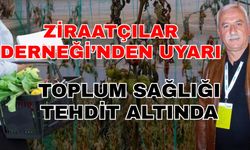 Ziraatçılar Derneği’nden uyarı: Toplum sağlığı tehdit altında