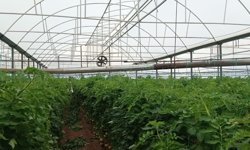 Genç ziraat mühendislerine önemli tavsiyeler