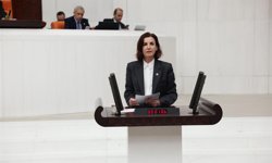 Aliye Coşar acı tabloyu gözler önüne serdi