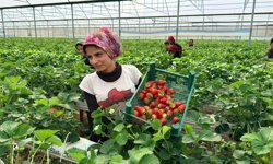 Almanya’da eğitim aldı Antalya’da başarıyı yakaladı