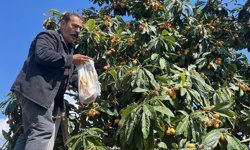Antalya’da acı tablo ürünleri elde kaldı bedava dağıttı