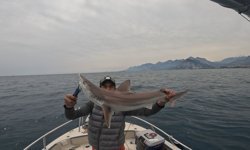 Antalya’da amatör balıkçılar gördüklerine inanamadı