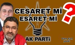 Cesaret mi? Esaret mi?