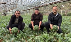 Antalya’da hasat heyecanı başladı