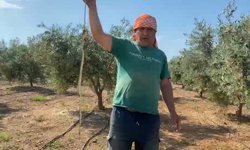 Antalya’da serasına giden çiftçi gördüğüne inanamadı