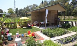 Antalya’daki bu bahçelere af yok yıkım var