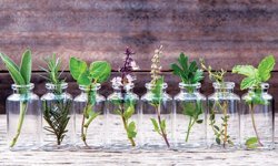 Antalya’daki o sektör kuraklığın acısını çıkarmaya hazırlanıyor