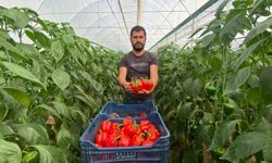 Antalya’dan kritik uyarı; “Tonlarca domates satıp bir telefon alamayız”