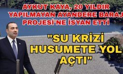 Aykut Kaya, 20 yıldır yapılmayan Ayandere Baraj Projesi'ne isyan etti: "Su krizi husumete yol açtı"