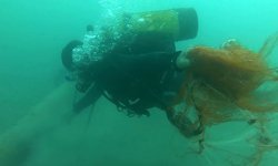 Denizler temizlendi 1,5 milyon deniz canlısı kurtarıldı