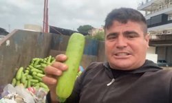 Toptancı halinde çöpe atılan sebzelere tepki