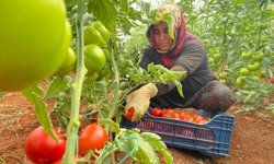 Ukrayna ve Arnavutluk, Türkiye’yi tehdit ediyor