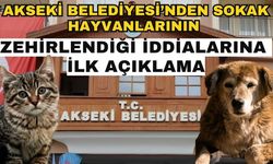 Akseki Belediyesi’nden sokak hayvanlarının zehirlendiği iddialarına ilk açıklama