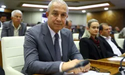 Alanya Belediyesi’ne hayvan hakları savunucularından suç duyurusu