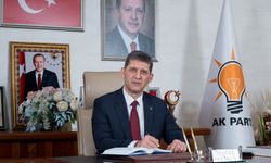 Ali Çetin’den CHP’ye hizmet eleştirisi