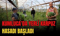 Antalya Kumluca’da yerli karpuz hasadı başladı