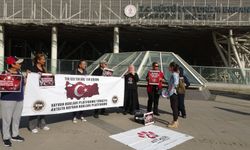 Antalya Nekropol Müzesi’nde kuşlar için yeni dönem