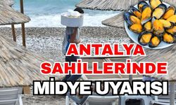 Antalya sahillerinde mideye uyarısı