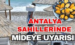 Antalya sahillerinde mideye uyarısı
