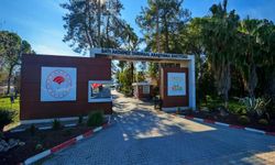 Antalya’da acı tablo! Antalya’nın verimli topraklarına beton dökülüyor