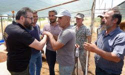 Antalya'da kurban pazarında son kozlar oynandı